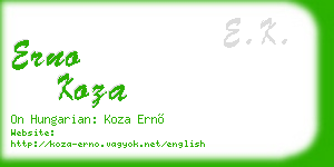 erno koza business card